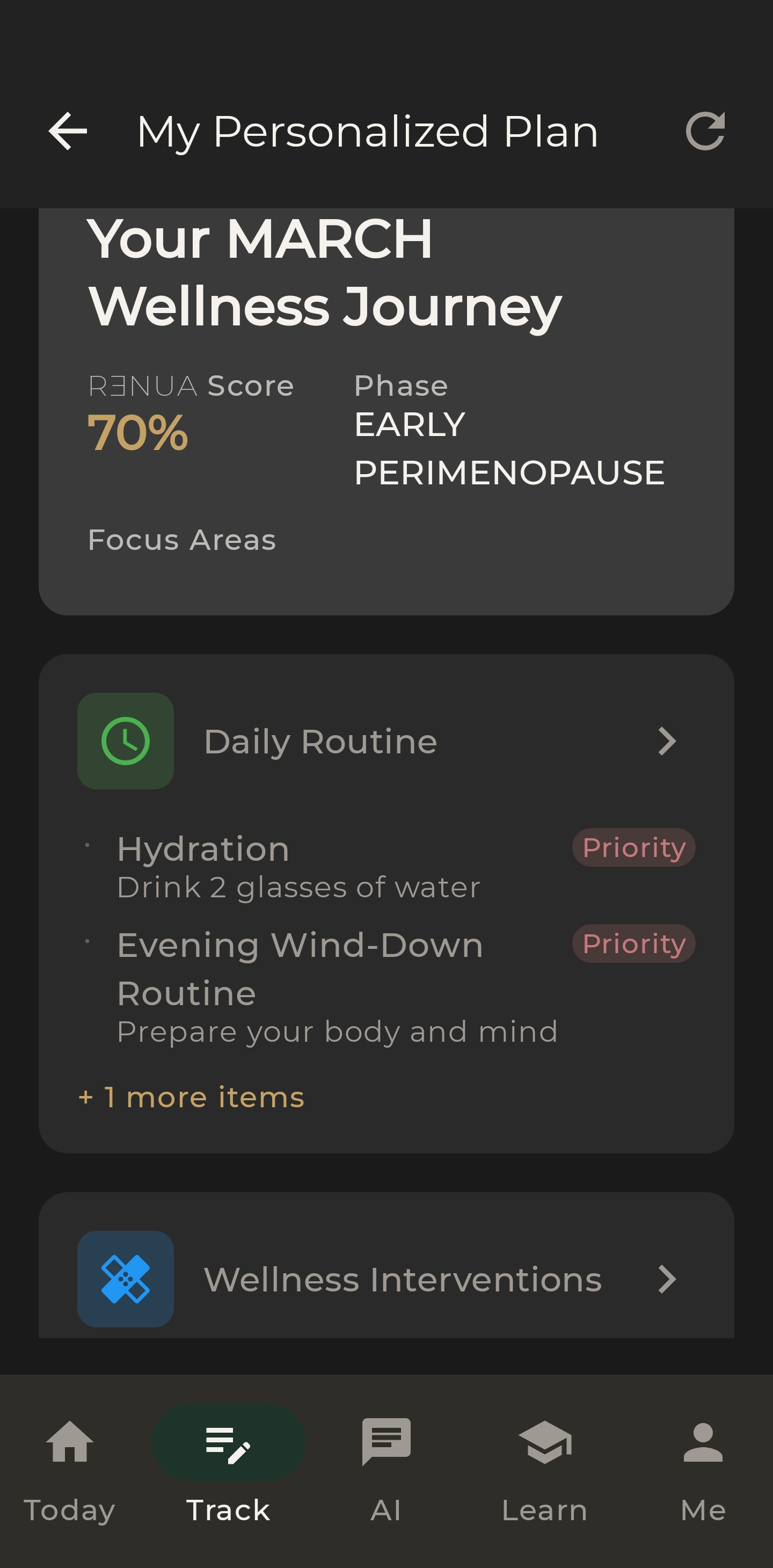 Personalized Plan with wellness journey, daily routine, and interventions