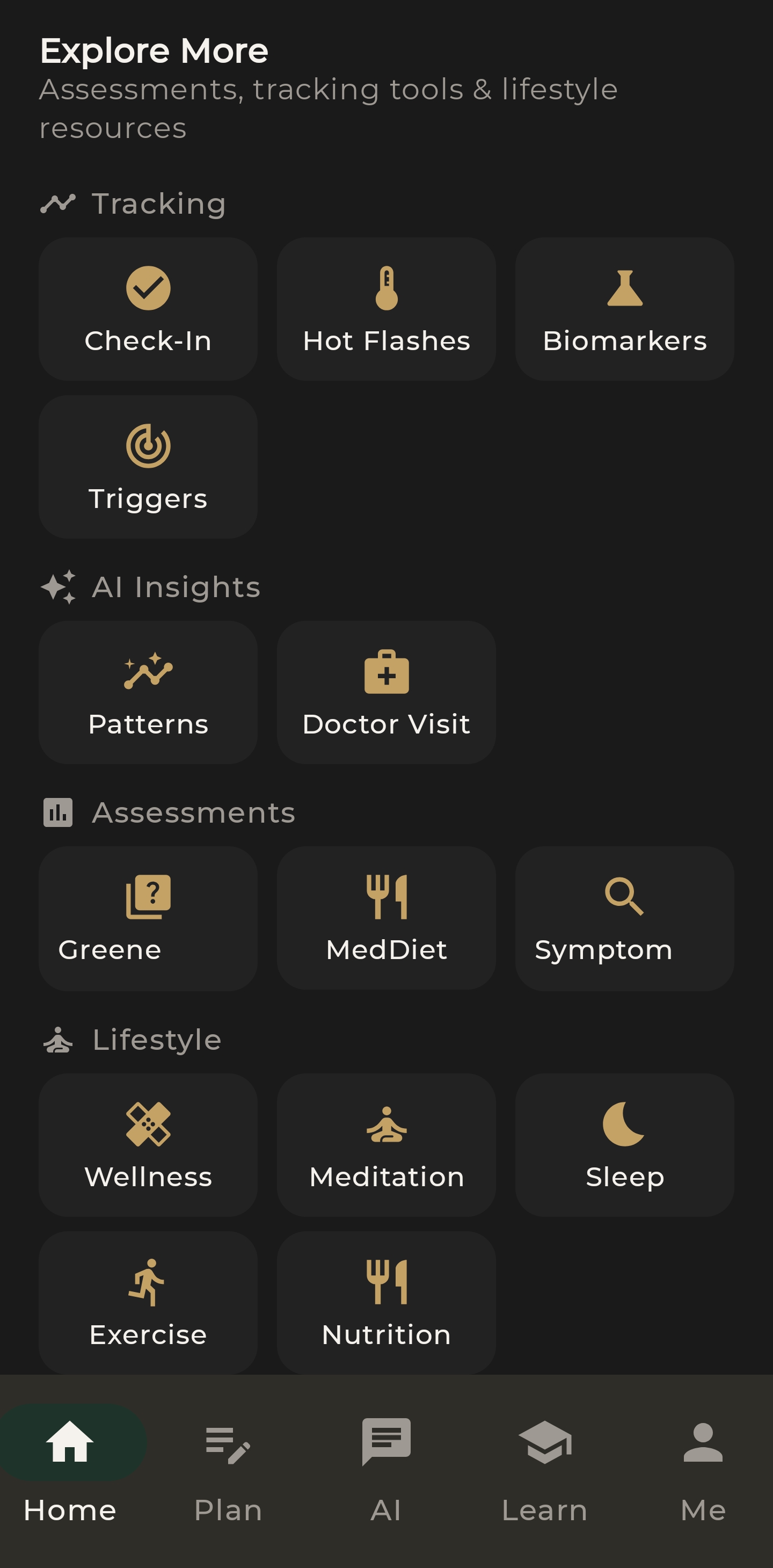 Explore More grid showing tracking, AI insights, assessments, and lifestyle tools